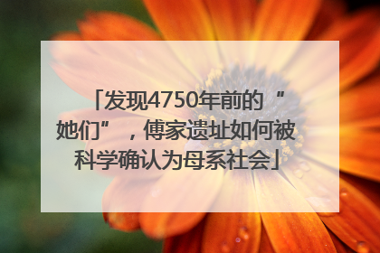 发现4750年前的“她们”，傅家遗址如何被科学确认为母系社会